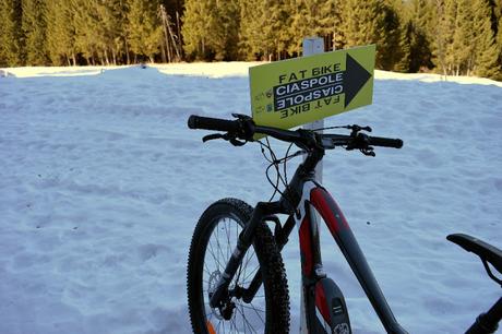 fat bike millegrobbe trentino alpe cimbra fat bike millegrobbe trentino alpe cimbra