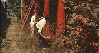 Un tranquillo posto di campagna di Elio Petri