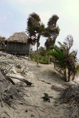 Messico - Oaxaca, Chiapas, Yucatan