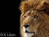 Lion 10.7, novità nuovo sistema operativo Apple