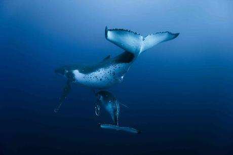 Da Costa a Costa: un mare di argomenti.