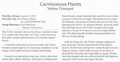 Carnivorous plants: gadget