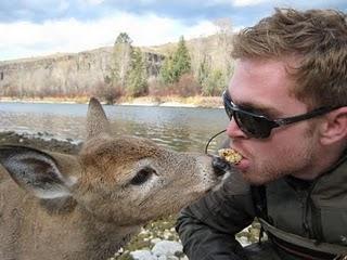 IL GIOVANE CERVO E I PESCATORI...AMICI