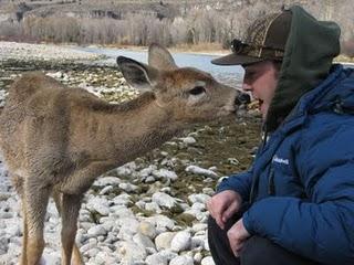 IL GIOVANE CERVO E I PESCATORI...AMICI