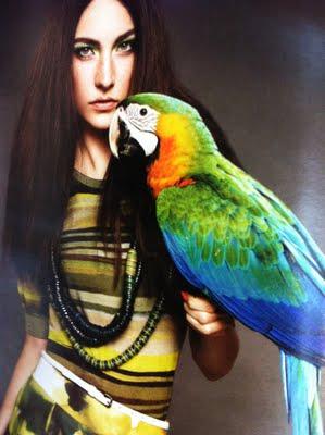 TROPICAL MOOD & PARROT LOOK for SUMMER 2011