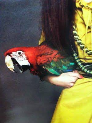 TROPICAL MOOD & PARROT LOOK for SUMMER 2011