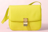 GIALLO bagcraze celine spring11 7