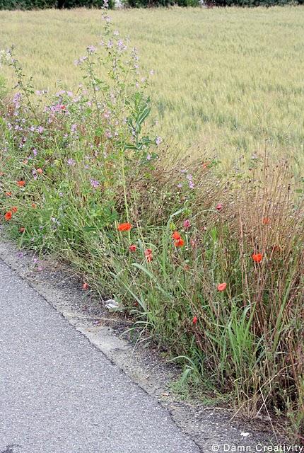 Country Road