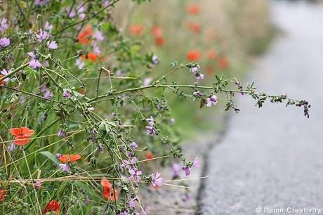 Country Road