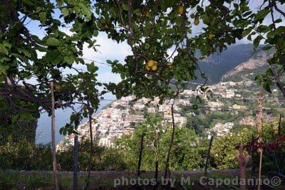 POSITANO DIWINE FOOD : la passeggiata tra le ville di Li Parlati....