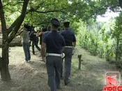 Napoli Arrestato latitante scissionista Carmine Amato