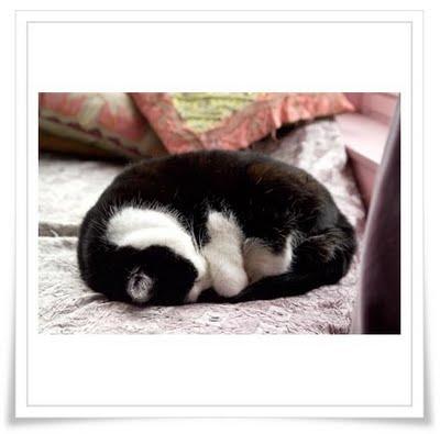 Appuntamento al cottage: a casa di Andy Waite...