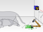 Paradosso gatto Schrödinger
