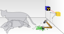 Paradosso del gatto di Schrödinger