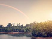 Rain.....No Rainbows