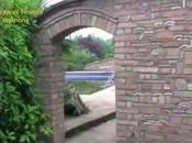 Cremona False cooperative, frode fiscale milioni euro (09.06.11)