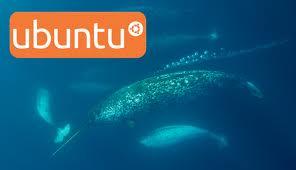 Software Packages in Ubuntu 11.04 Natty Narwhal, categoria Version Control System.