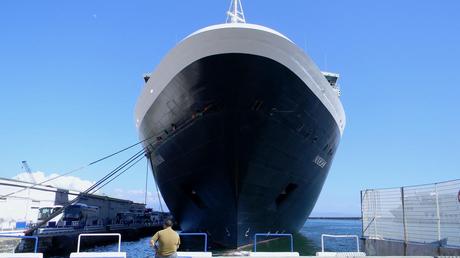 Noordam