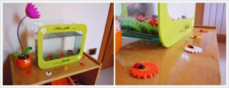 Benvenuto Jinbe e acquisti vari….