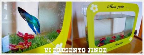 Benvenuto Jinbe e acquisti vari….