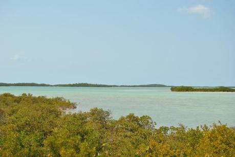 Driving to South. Florida Keys.