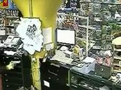 Roma Arrestati rapinatori quartiere Spinaceto (10.06.11)