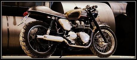 Italia Vs Inghilterra