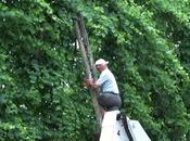 Cesa (CE) Loco Backstage Antichi Sapori (10.06.11)