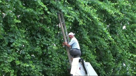 Video thumbnail. Click to play