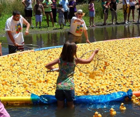 Duck Race nella Silicon Valley