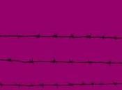 “Bacchiglione Blues” Matteo Righetto (Perdisa Pop): autorevole pulp salsa padana Roberto Martalò