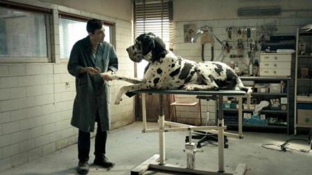 Dogman- Dogman-