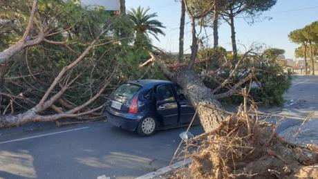 Allerta meteo per vento forte, a Napoli scuole aperte e parchi chiusi Vento forte