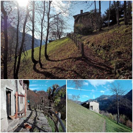 roncobello inverno cosa fare roncobello inverno cosa fare
