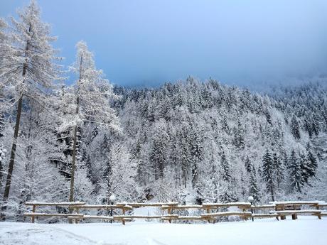 roncobello inverno cosa fare roncobello inverno cosa fare