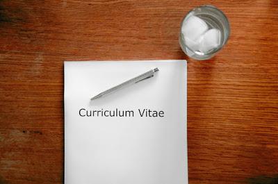 IL CURRICULUM DEL MINISTRO IL CURRICULUM DEL MINISTRO