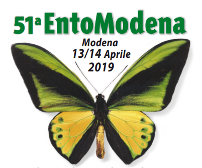 Sabato 13 e domenica 14 aprile ritorna Entomodena, la più grande mostra specializzata sugli invertebrati in Italia! Sabato 13 e domenica 14 aprile ritorna Entomodena, la più grande mostra specializzata sugli invertebrati in Italia!