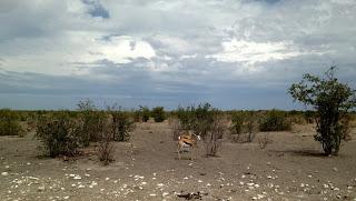 Namibia Namibia