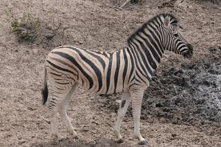 Namibia Namibia