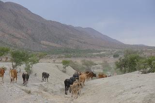 Namibia Namibia