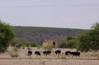 Namibia Namibia