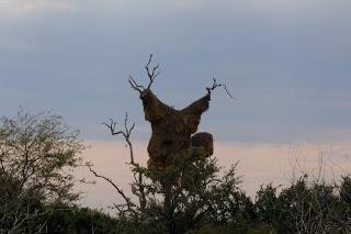 Namibia Namibia