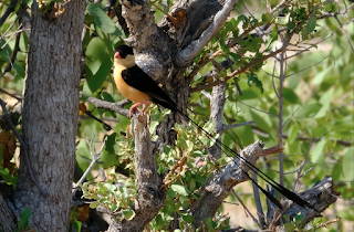 Namibia Namibia
