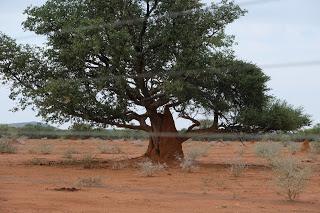 Namibia Namibia