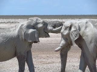 Namibia Namibia
