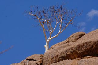 Namibia Namibia