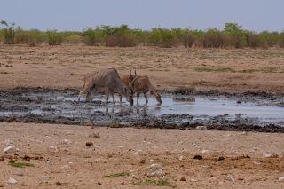 Namibia Namibia