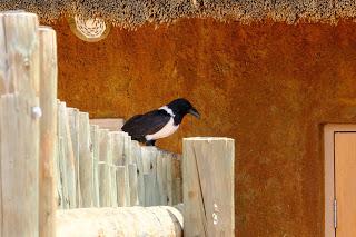 Namibia Namibia