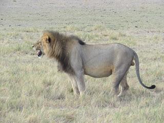 Namibia Namibia
