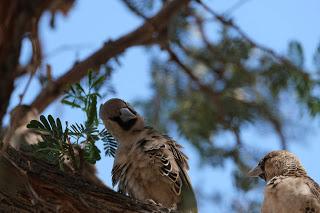 Namibia Namibia